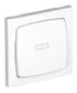 47152S - Botão Basculante Luminoso de 250V~ - Boutique das Lâmpadas